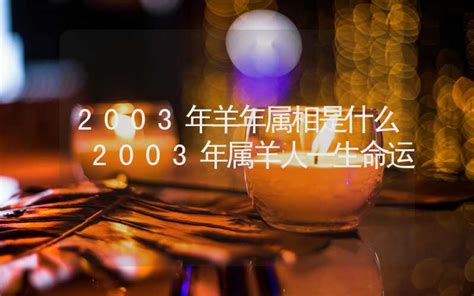 2003 年 生肖|2003年是什么年